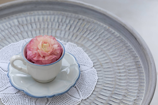 Teetasse mit rosa Hahnenfuß drin - Foto, Bild
