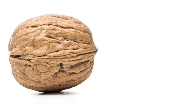 walnut on white - Photo, Image