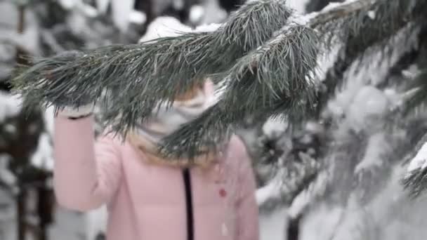 Porträt einer Europäerin im Winterwald zwischen den Tannen, eine schöne Frau, die hinter den Ästen in Zeitlupe hervorlugt - Filmmaterial, Video