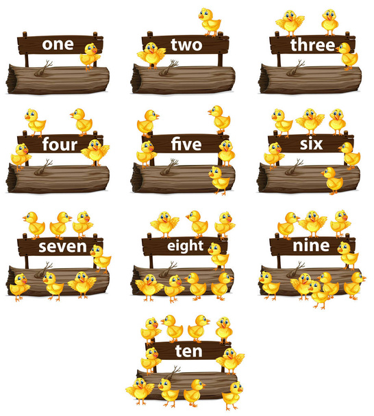 Counting numbers with little chicks - Vector, Image