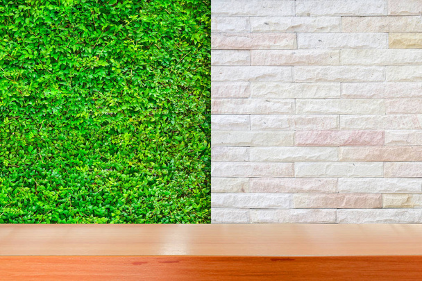 Estantes de madera blancos suaves con plantas pequeñas verdes frescas y fondo de ladrillo
 - Foto, imagen