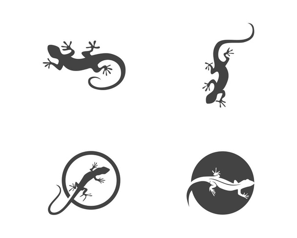 Логотип и шаблон ящерицы
  - Вектор,изображение