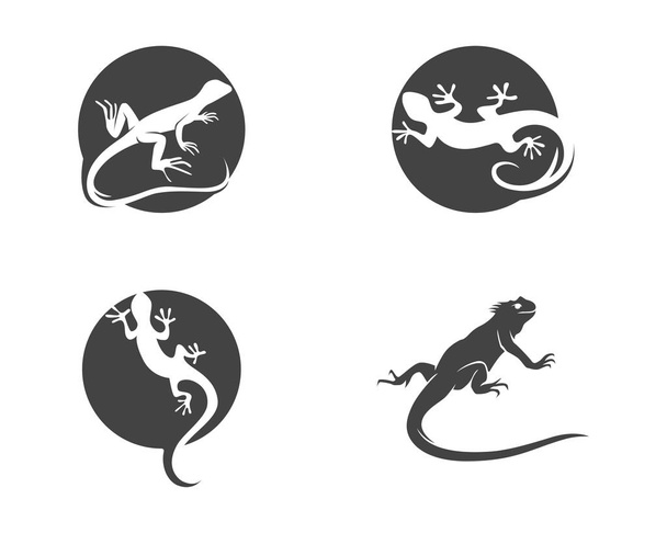 Логотип и шаблон ящерицы
  - Вектор,изображение