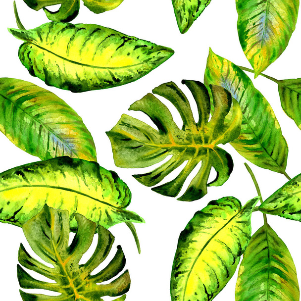 tropische Hawaii Blätter Palmenmuster in einem Aquarell-Stil isoliert. - Foto, Bild