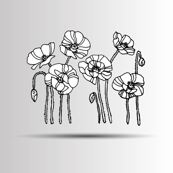 poppy nature flower vector plant pattern drawing illustration design - ベクター画像