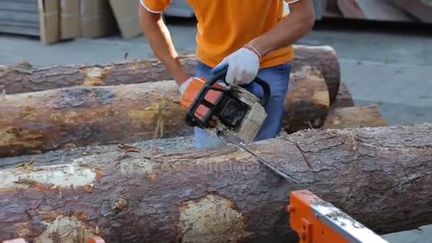 Tesař řezání dřeva s motorizovanou profesionálních řetězových pil. Zvuk z řezání tinber - Záběry, video