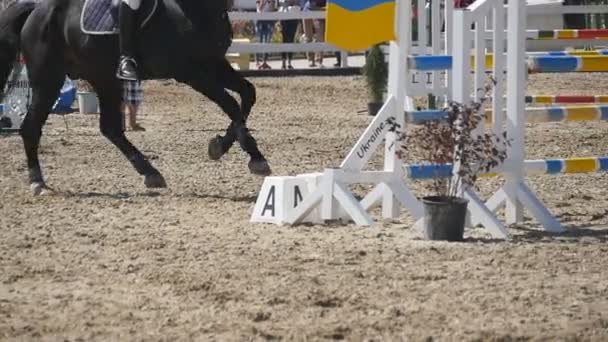 Horse runs and jumps through a barrier at sport competition. Close up of horse feet galloping. Professional jockey rides on horseback. Slow motion - Footage, Video