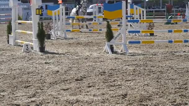 Horse runs and jumps through a barrier at sport competition. Close up of horse feet galloping. Professional jockey rides on horseback. Slow motion - Footage, Video