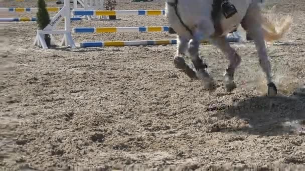 Pé de cavalo a correr na areia. Close up de pernas de garanhão galopando no chão enlameado molhado. Movimento lento
 - Filmagem, Vídeo