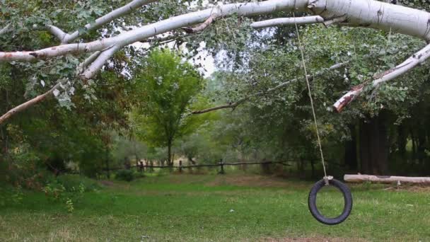 Balançoires de pneus sur une corde pour le divertissement des enfants dans le parc
. - Séquence, vidéo
