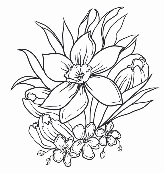 A bouquet of beautiful narcissus and tulips and wild violets decorated with leaves and grass. Drawing ink in a linear style. Vector illustration isolated on white background. A beautiful decoration in black and white colors. - Vektor, Bild