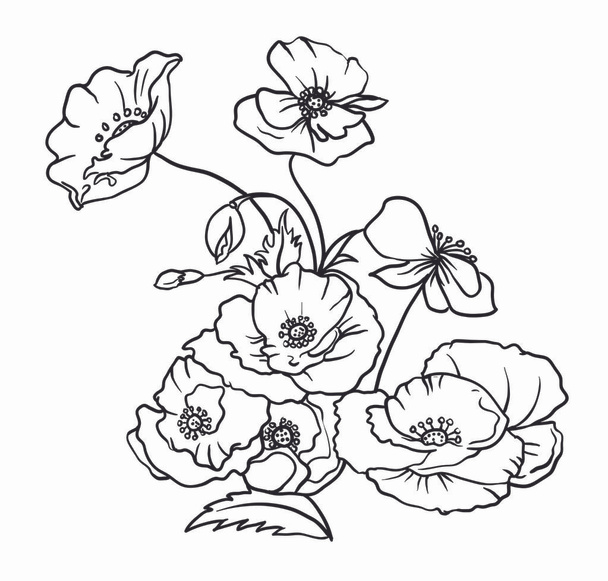 A bouquet of red poppies, decorated with leaves and grass. Drawing ink in a linear style. Vector illustration isolated on white background. A beautiful decoration in black and white colors. - Vektor, kép