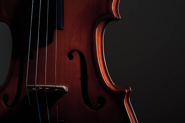 Violin musical instruments of orchestra closeup on black - 写真・画像