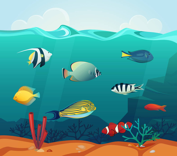 Ocean colourful fishes with corals at bottom - Vector, Image