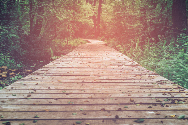 Drewniana ścieżka, droga, utwór z desek w parku leśnym, perspektywy, stonowanych obrazów - Zdjęcie, obraz