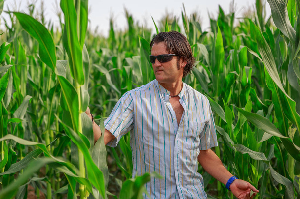 Bir adam bir sıcak yaz gününde bir hasat denetliyor - Fotoğraf, Görsel