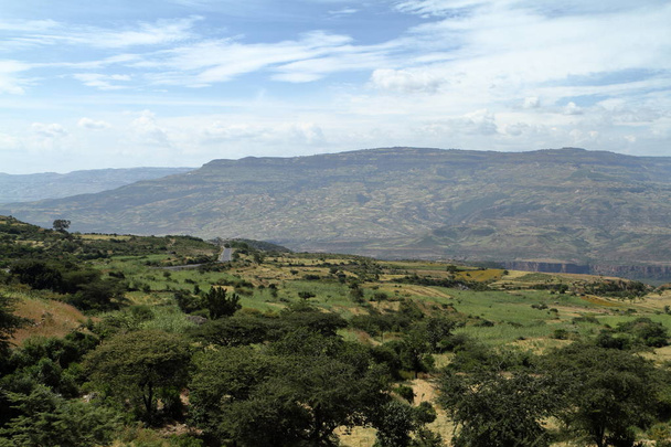 Рифтова долина Ефіопії в Африці - Фото, зображення