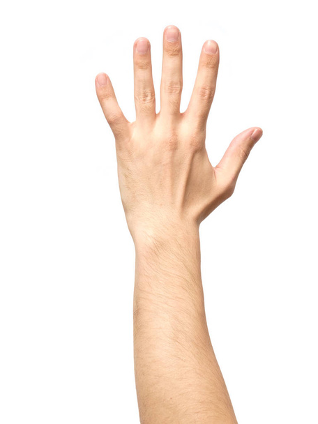 Man hand showing gesture isolated - Foto, afbeelding
