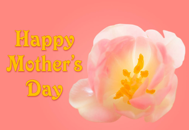 Happy Mothers Day background with tulip blossom - Photo, Image