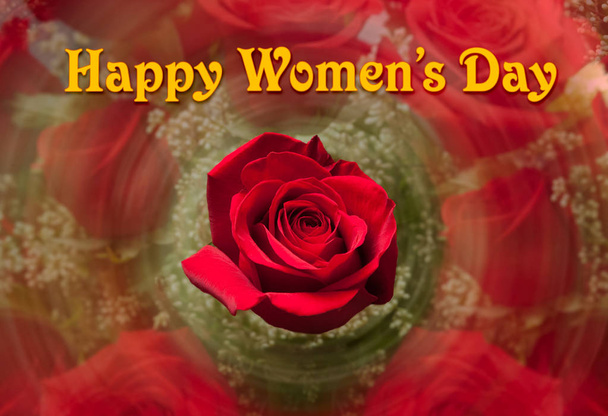 Happy Womens Day background with red rose - Photo, Image