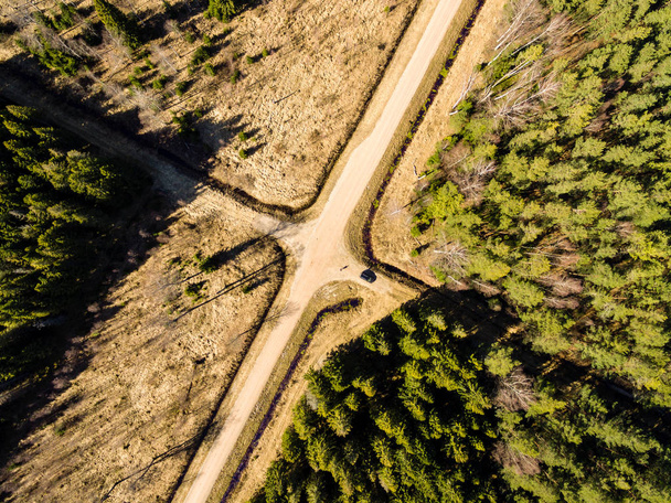 Изображение дрона. вид с воздуха на сельскую местность с лесной дорогой
 - Фото, изображение