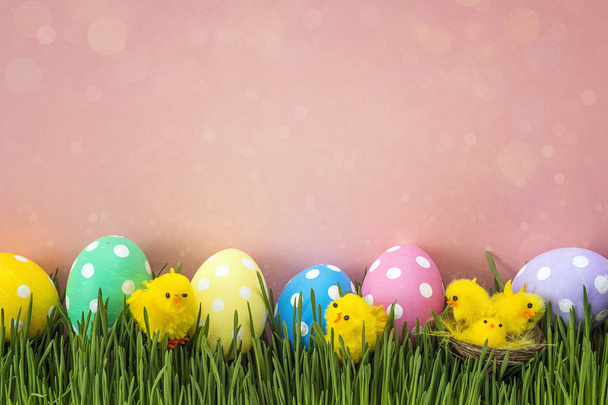 Easter eggs with decorative chicken in fresh green grass on pink - Foto, Imagen