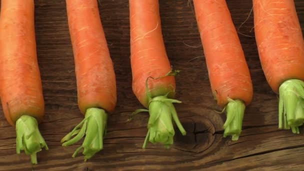 Φρέσκα βιολογικά καρότα με τις πράσινες κορυφές - Πλάνα, βίντεο