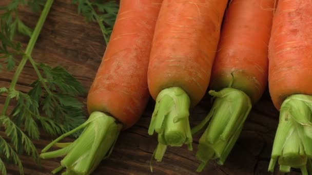 Φρέσκα βιολογικά καρότα με τις πράσινες κορυφές - Πλάνα, βίντεο
