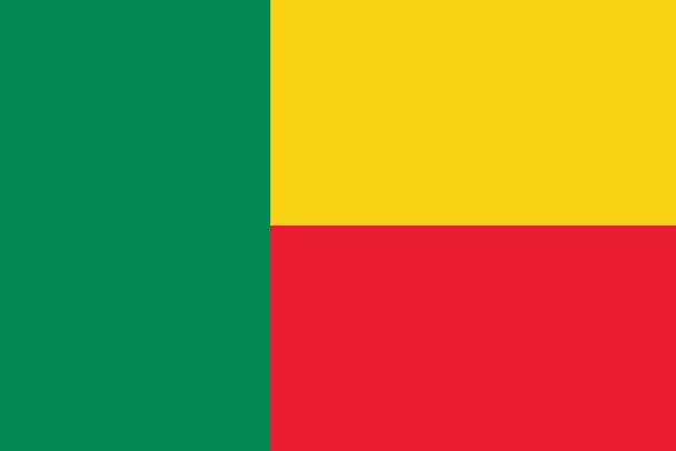 vlag van benin - Vector, afbeelding