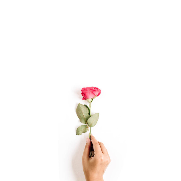 Hermosa flor de rosa roja - Foto, imagen
