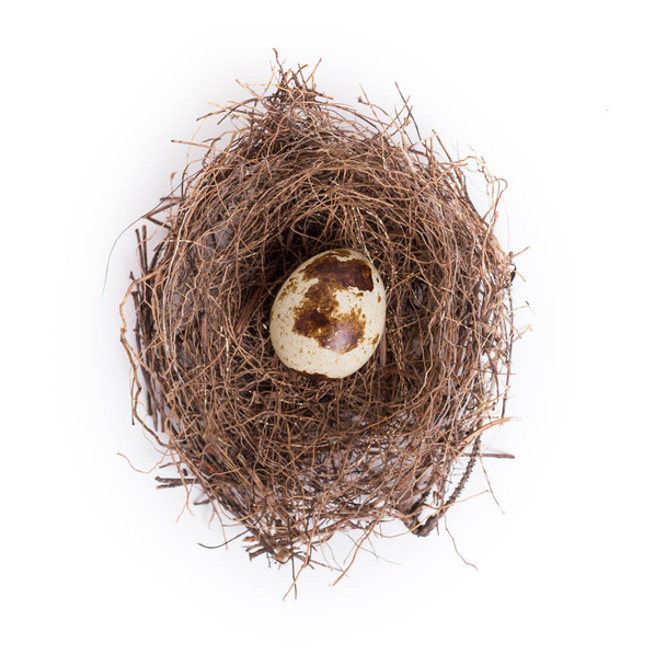 przepiórcze jajko w gnieździe - izolowane na białym tle - Zdjęcie, obraz
