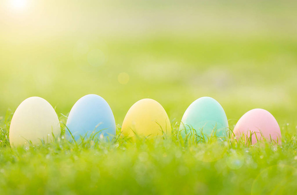 Пасхальні яйця на зеленій траві з краплями роси
 - Фото, зображення