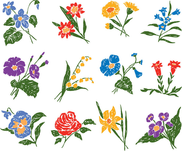set of the different flowers     - Vector, Image