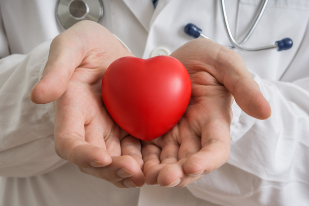 Koncept transplantace srdce. Lékař drží v rukou model červené srdce. - Fotografie, Obrázek