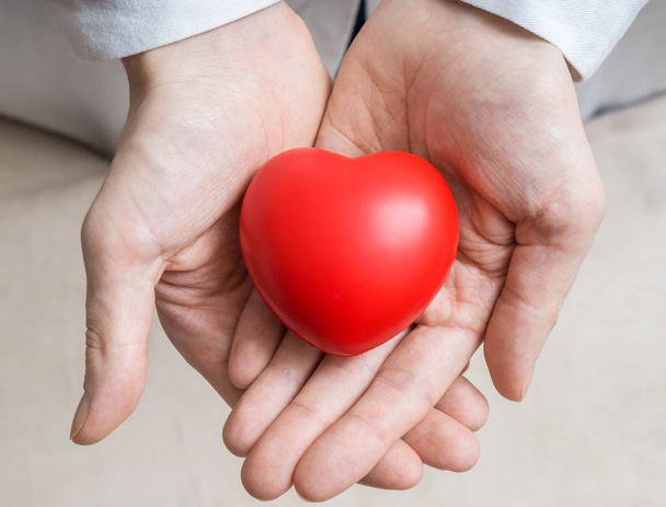 Heart transplantation concept. Doctor holds red heart in hands. - Фото, изображение