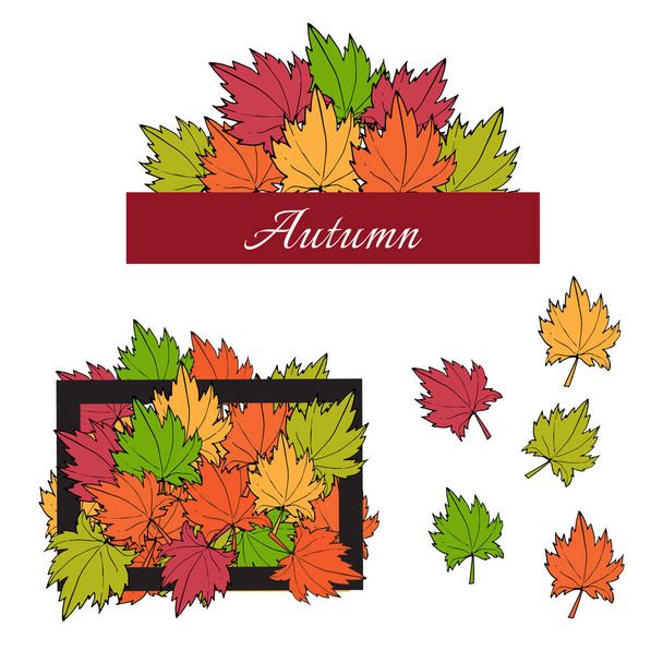 Autumn maple leaves - Vektör, Görsel