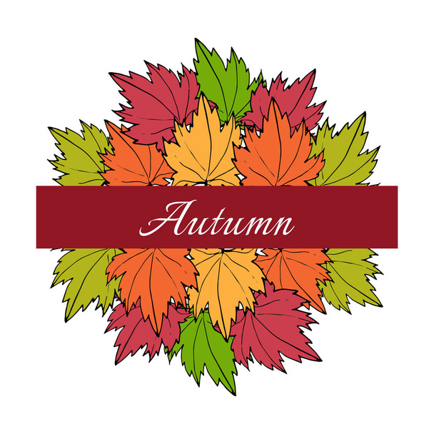 Autumn maple leaves - Vector, Imagen