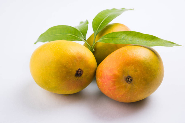 Král ovoce; Alphonso žluté Mango ovoce duo s stonky a zelené listy izolované na bílém pozadí, produkt Konkan z Maháráštry - Indie - Fotografie, Obrázek