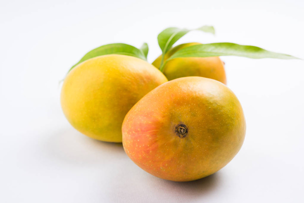 Királya gyümölcsök; Sárga Alphonso Mango gyümölcs duó, szárát és zöld levél elszigetelt a fehér háttér előtt, a termék a Konkan, a maharashtrai - India - Fotó, kép