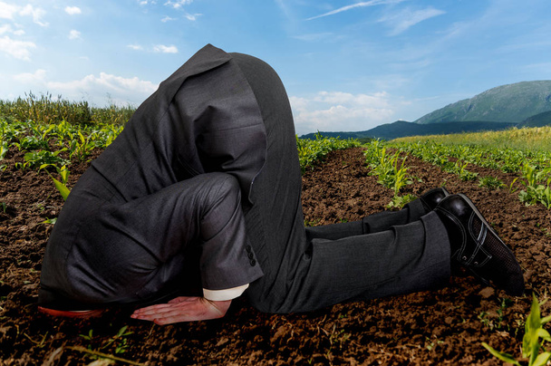 Бизнесмен, зарывающий голову в землю
 - Фото, изображение