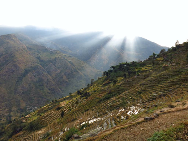 Sonnenstrahlen über steilen Reisterrassen - Foto, Bild