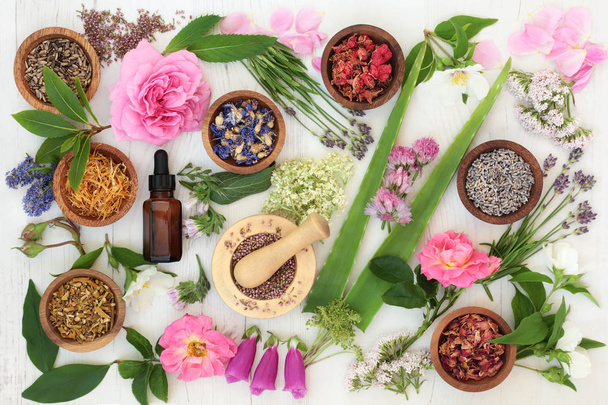Healing Flowers and Herbs - Photo, Image