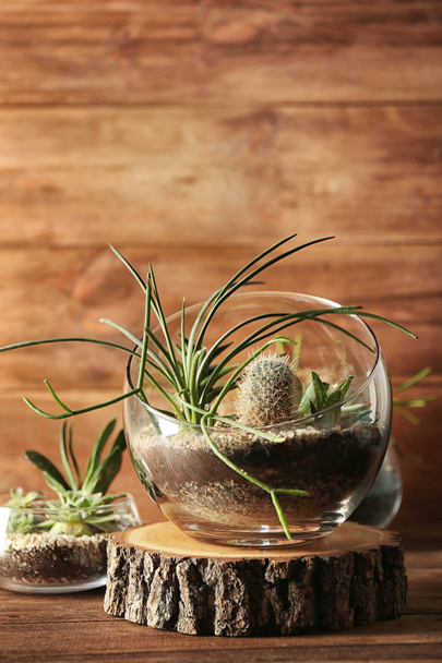 Glass pots with succulents - Φωτογραφία, εικόνα