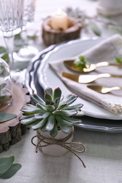 Table served with succulent plants - Fotoğraf, Görsel