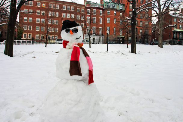 Imagen de Boston Winter
 - Foto, imagen