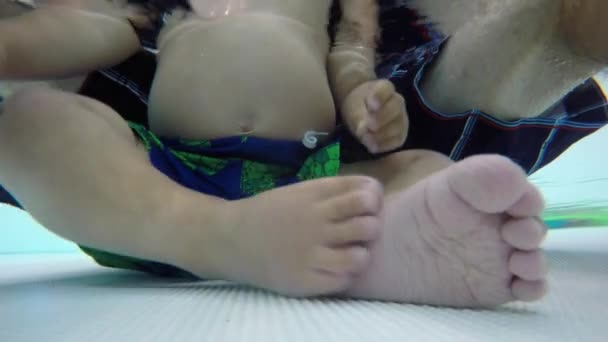 Подводный снимок отца с малышом
 - Кадры, видео