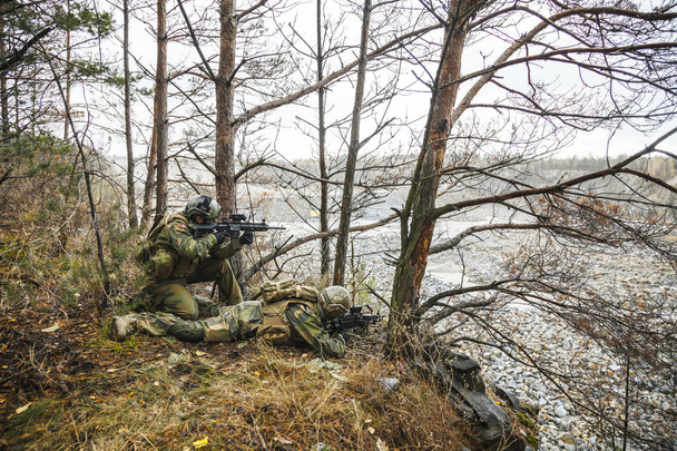 Noorse soldaten in het bos - Foto, afbeelding