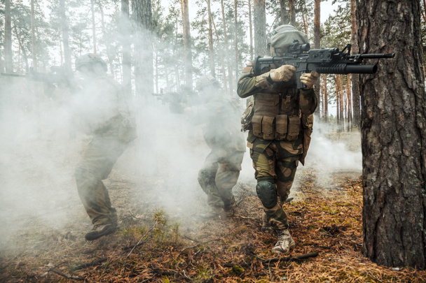 Νορβηγική στρατιώτες στο δάσος - Φωτογραφία, εικόνα