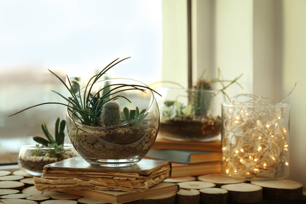 Mini succulent garden in glass terrarium - Фото, изображение
