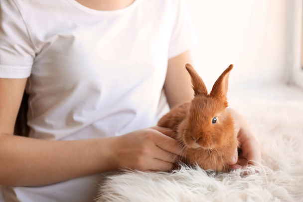 Girl holding small rabbit  - Photo, Image